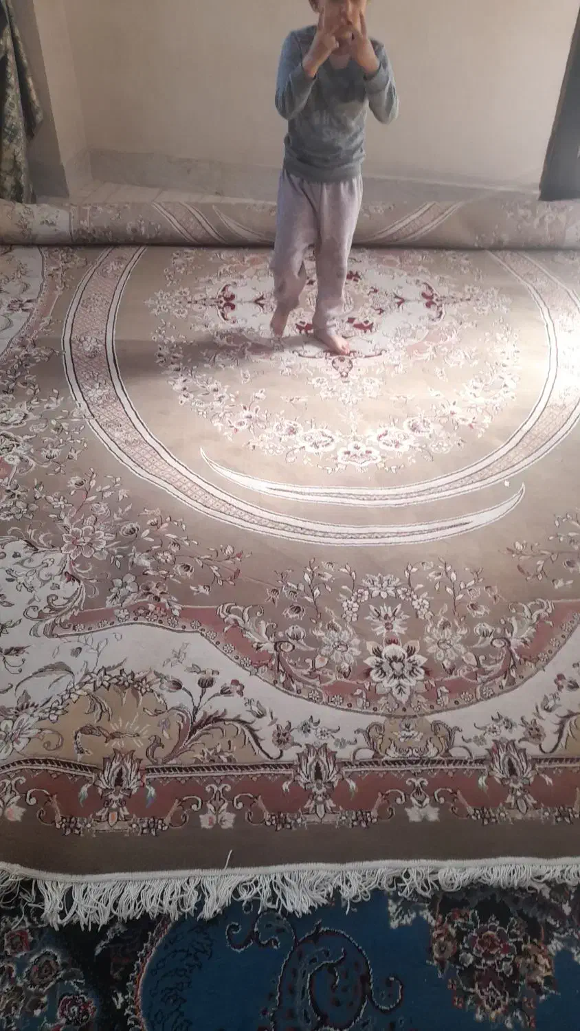 فرش ۱۲متری|فرش|بجنورد, |دیوار