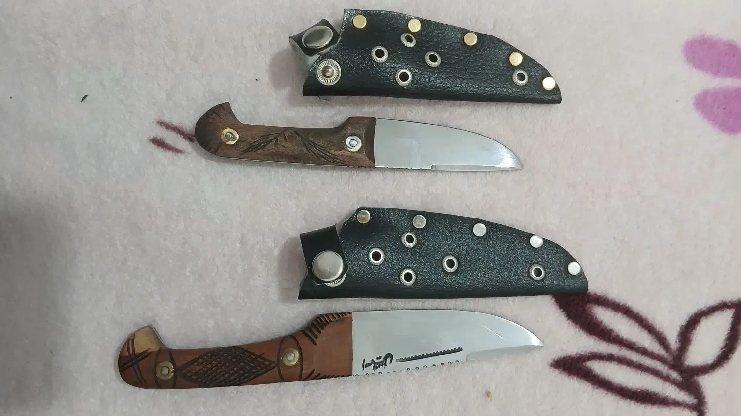 چاقو ضد زنگ|کوهنوردی و کمپینگ|قم, کلهری|دیوار