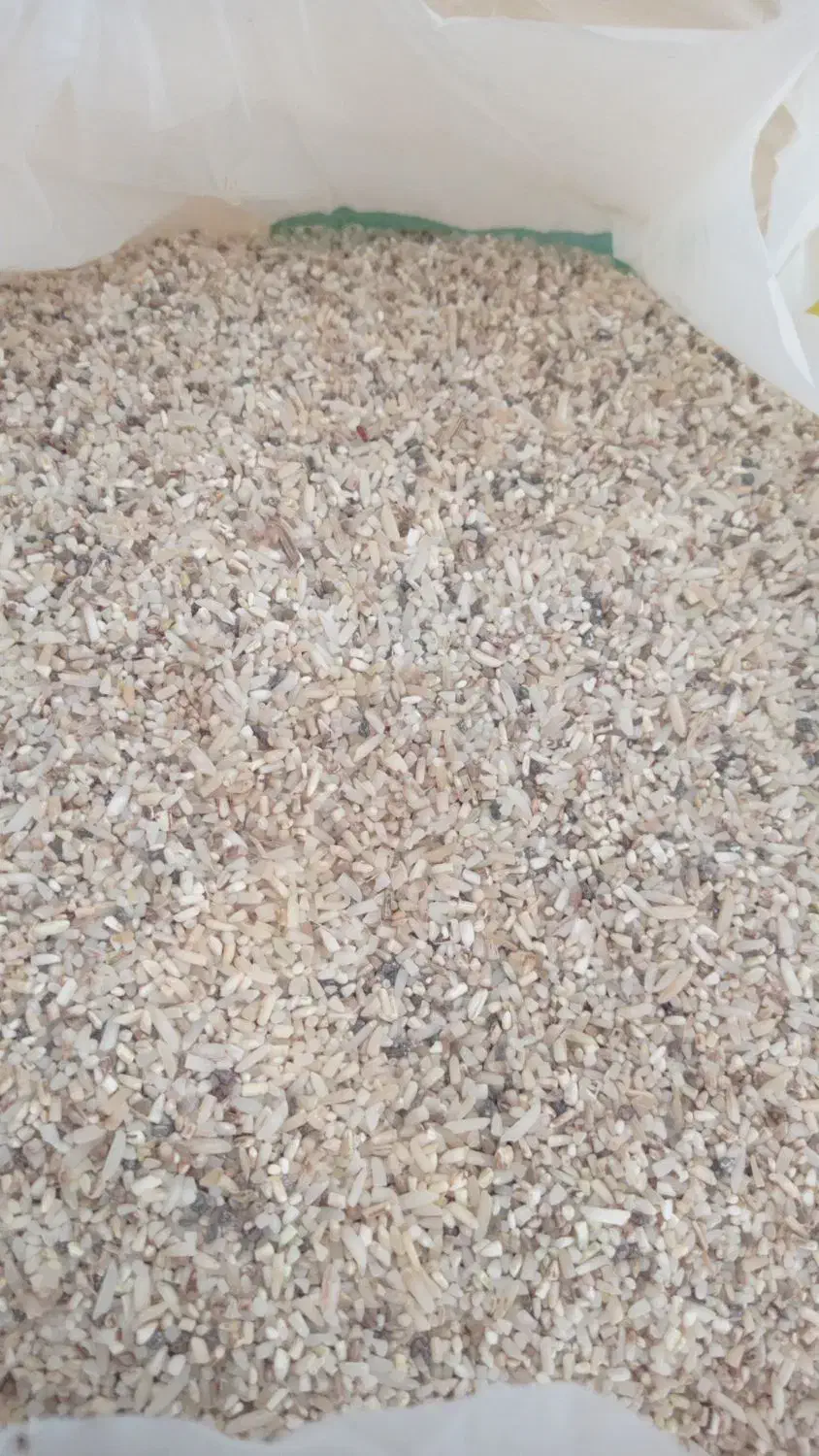 ضایعات برنج|خوردنی و آشامیدنی|رشت, دیانتی|دیوار