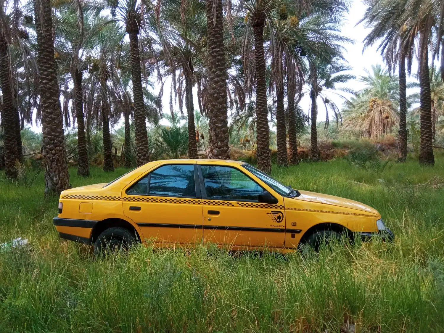 پژوتاکسی مدل 96دوگانه سوزشرکتی|خودرو سواری و وانت|جیرفت, |دیوار