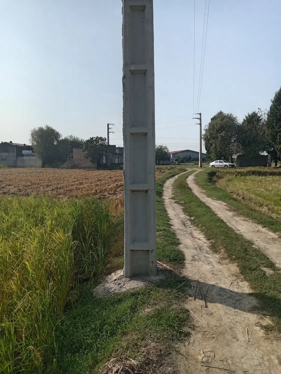 زمین 8600متر در مازندران جاده قائم شهر به جویبار|فروش زمین و ملک کلنگی|قائمشهر, |دیوار