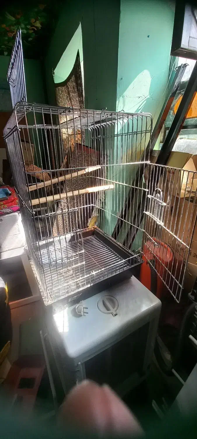 قفس|لوازم جانبی حیوانات|مشگین شهر, |دیوار