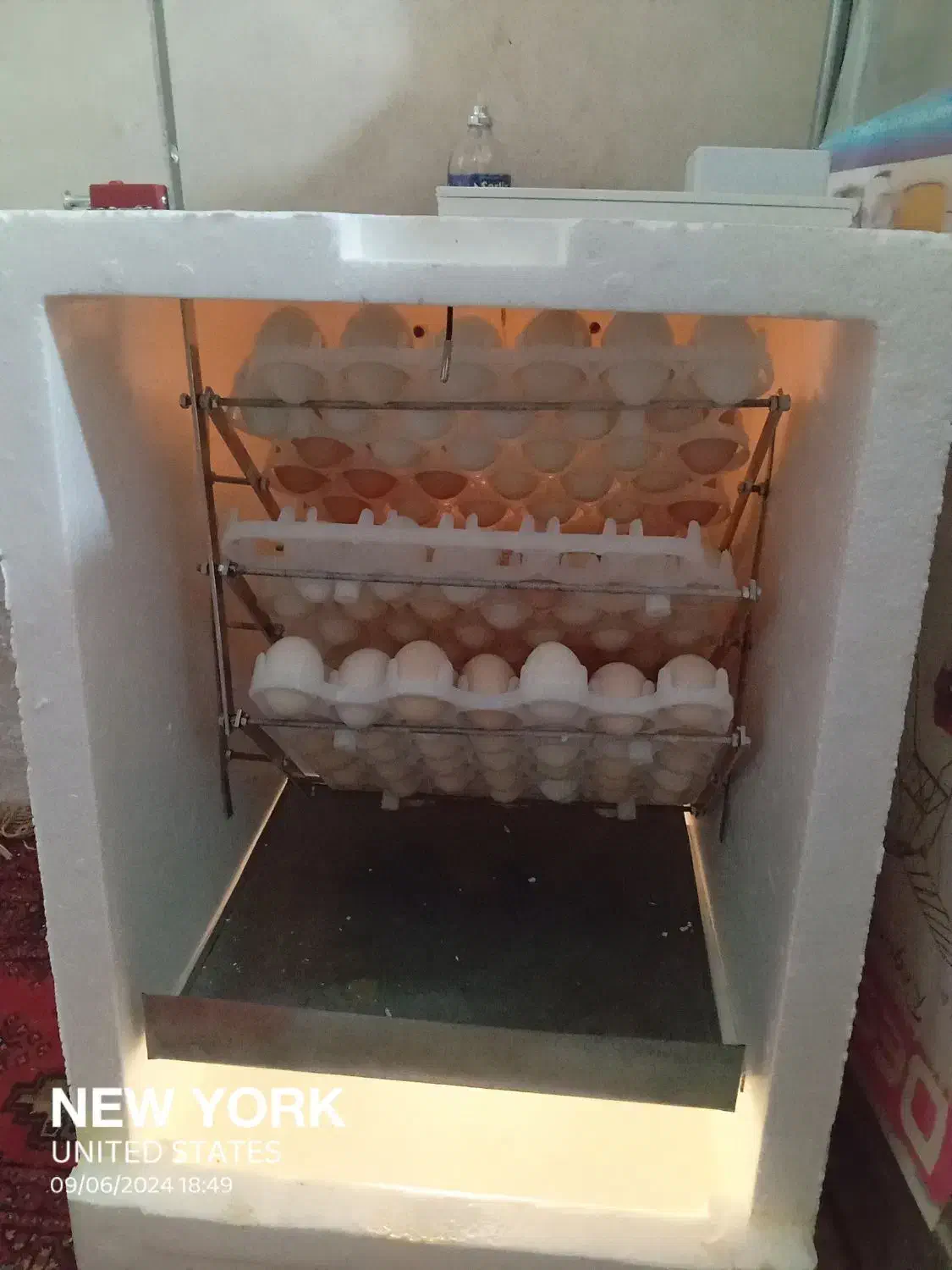 دستگاه تخم مرغ نو نو|لوازم جانبی حیوانات|زابل, |دیوار