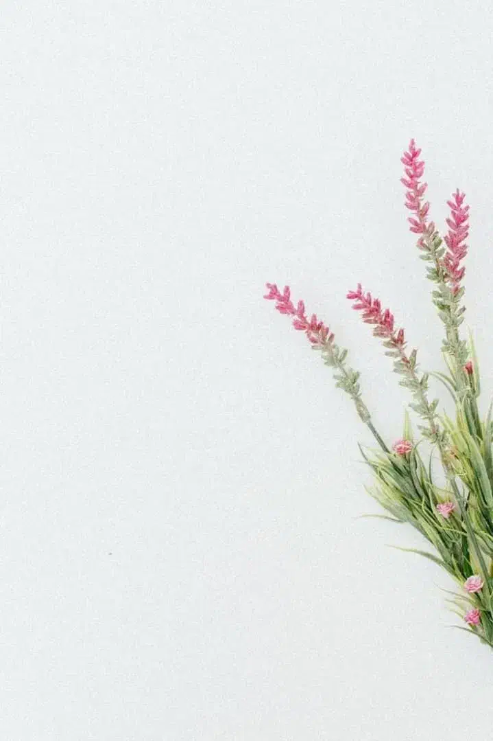 راننده خانم.هستم|خدمات حمل و نقل|اردبیل, |دیوار