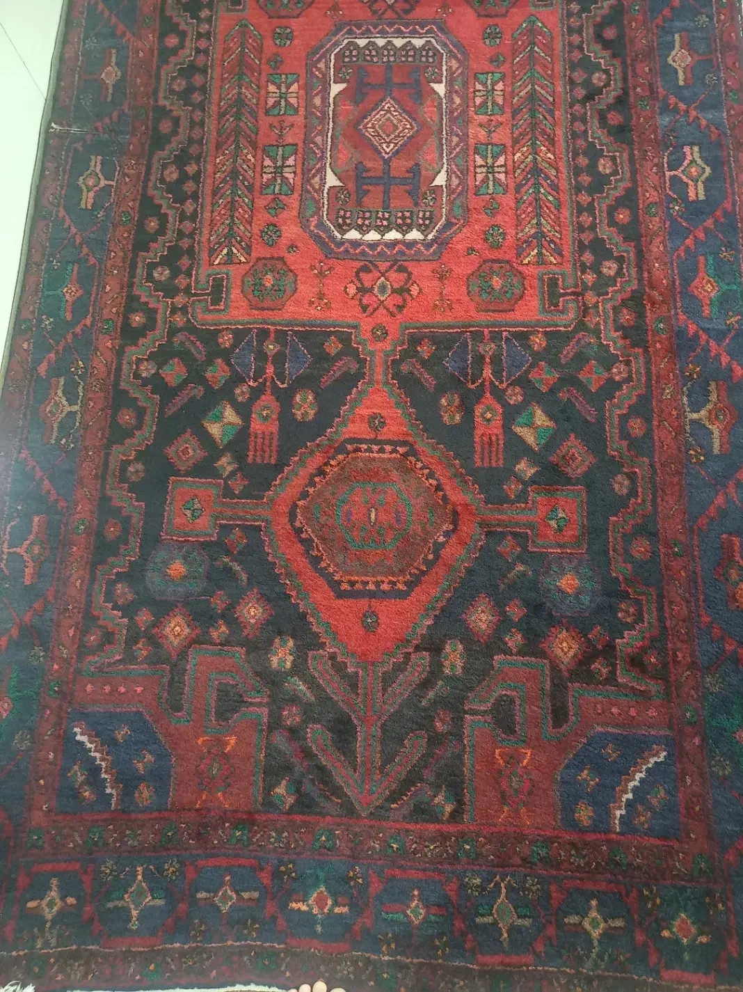 فرش دست بافت|فرش|بیجار, |دیوار