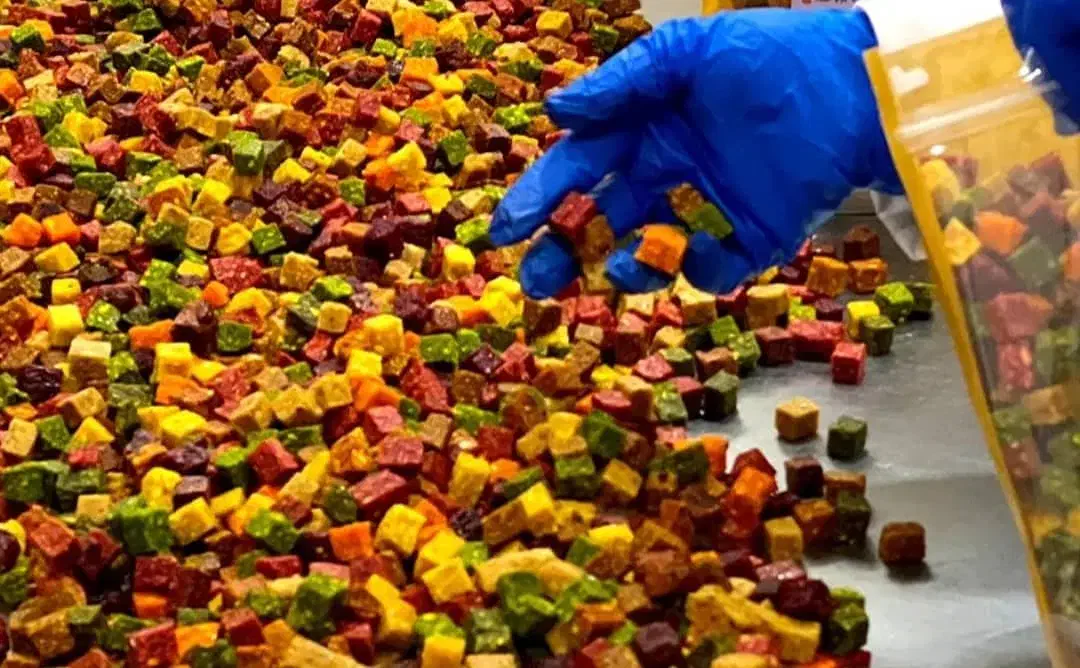 فروش‌عمده‌و‌جزئی حبه میوه/ارگانیک/قیمت‌مناسب/تازه|خوردنی و آشامیدنی|تهران, گلستان (شهرک راه آهن)|دیوار