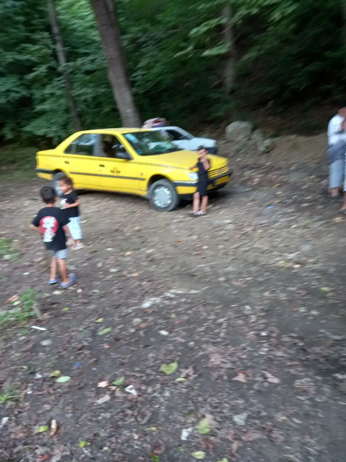 فروش تاکسی|خودرو سواری و وانت|فشاپویه, |دیوار