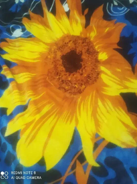 پتو|رختخواب، بالش، پتو|بجنورد, |دیوار