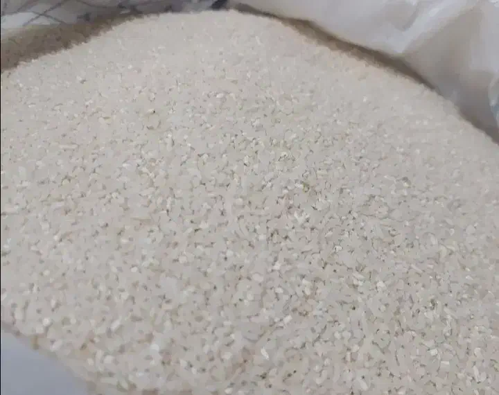 نیم دانه طارم هاشمی|خوردنی و آشامیدنی|قائمشهر, |دیوار