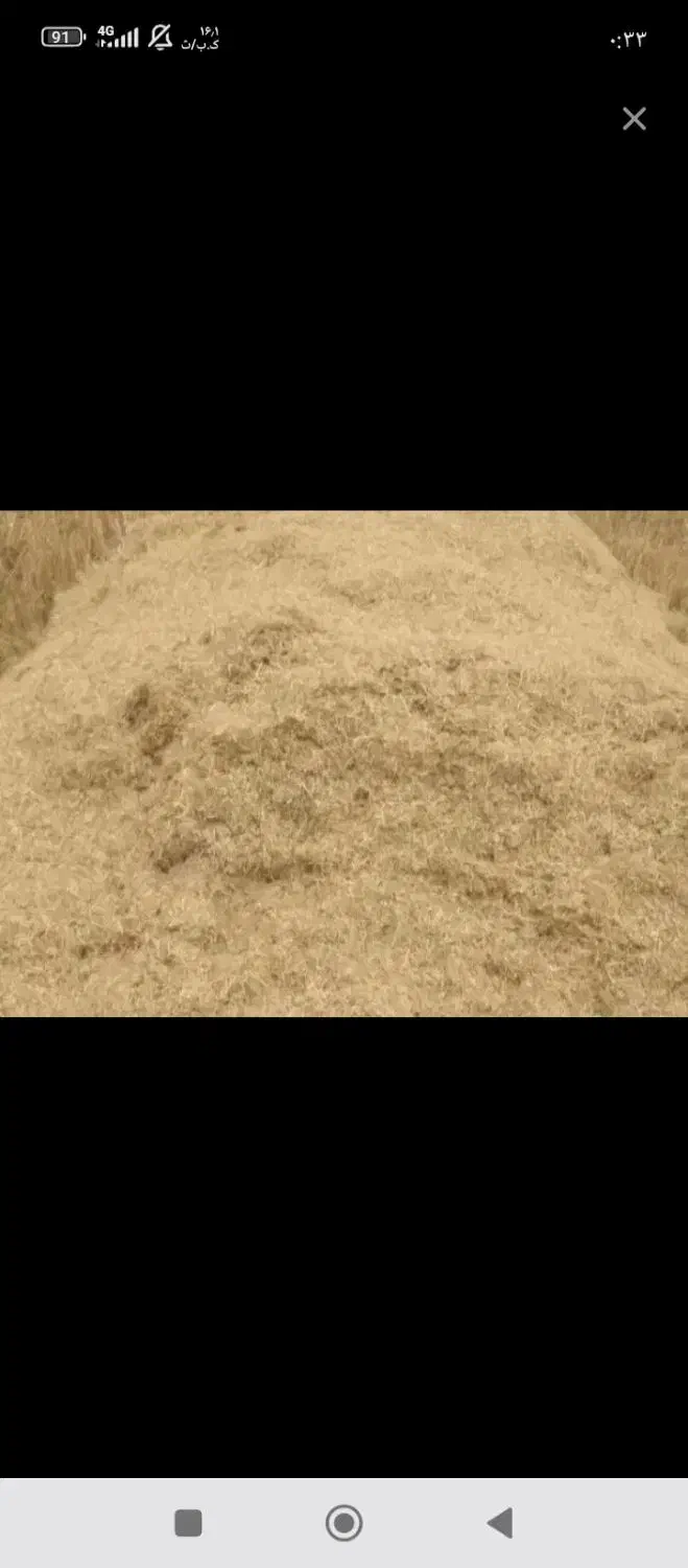 کاه گندم درجه یک|حراج|رشت, سعدی (تختی)|دیوار