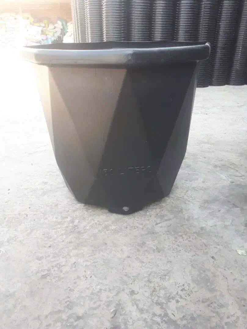 پخش انواع گلدان پلاستیکی کشاورزی و زینتی|گل و گیاه طبیعی|رشت, پل تالشان|دیوار