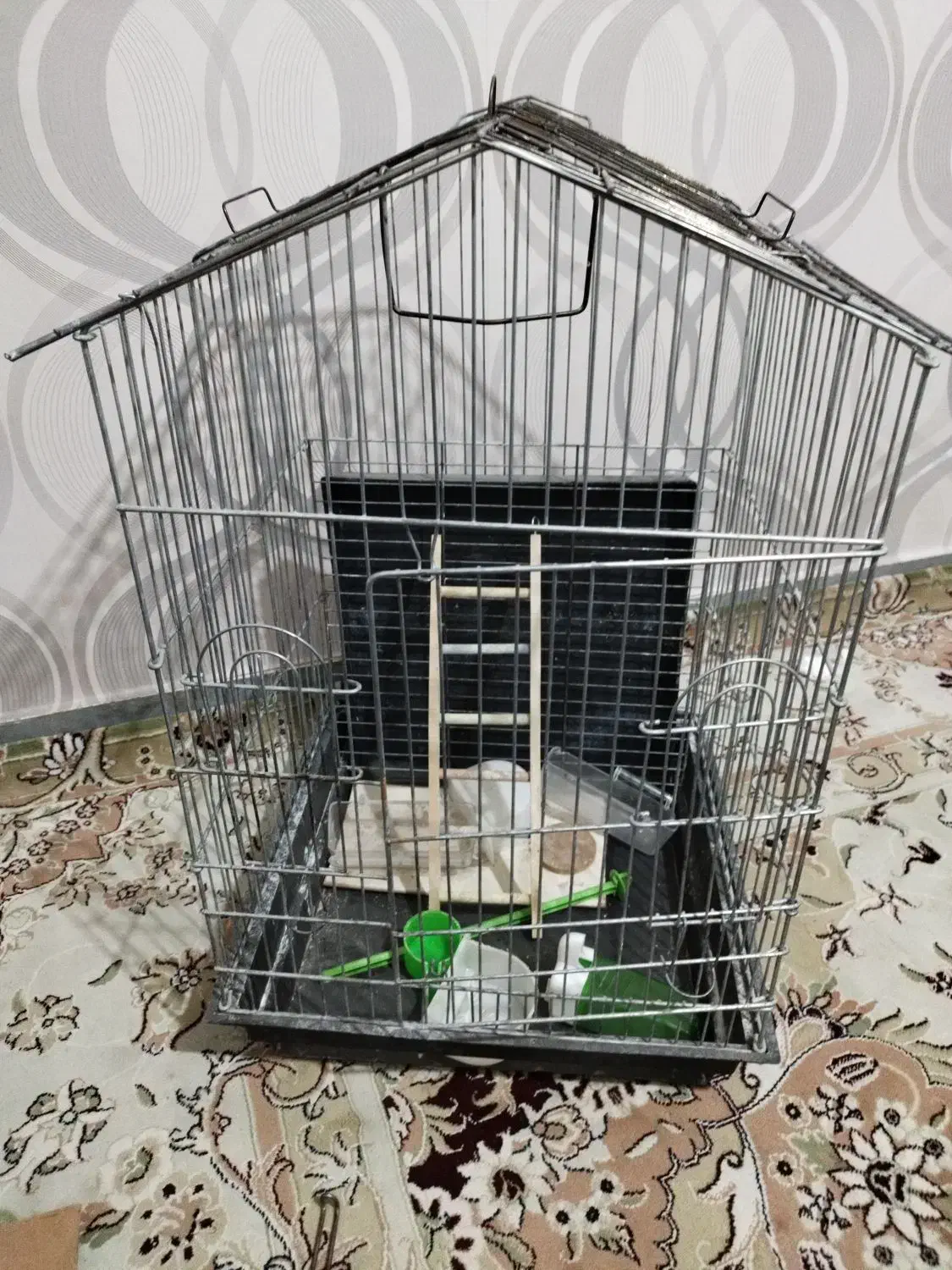 قفس پرنده|لوازم جانبی حیوانات|اسدآباد, |دیوار