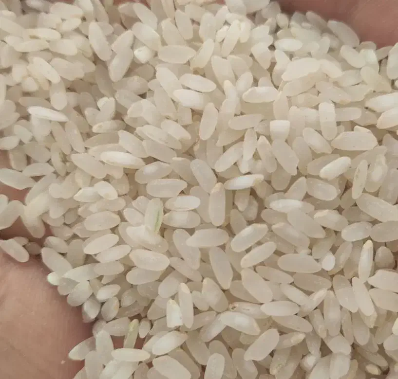 برنج خورده برنج و خورده اشی کامفیروز|عمدهفروشی|کامفیروز, |دیوار