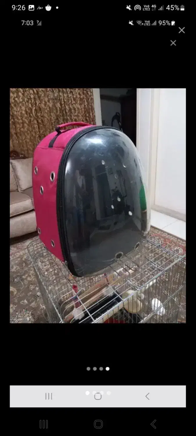 کیف حمل|کیف، کفش، کمربند|کرج, اصفهانیها|دیوار