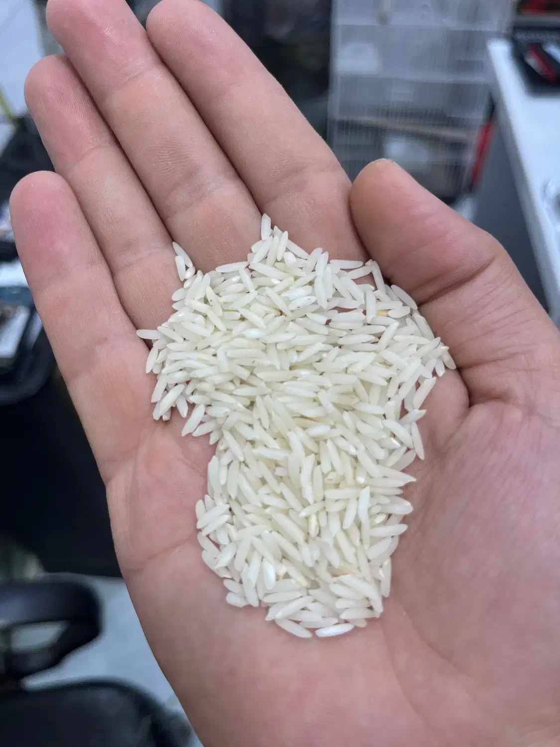 فروش برنج هاشمی درجه یک|خوردنی و آشامیدنی|سنگر, |دیوار