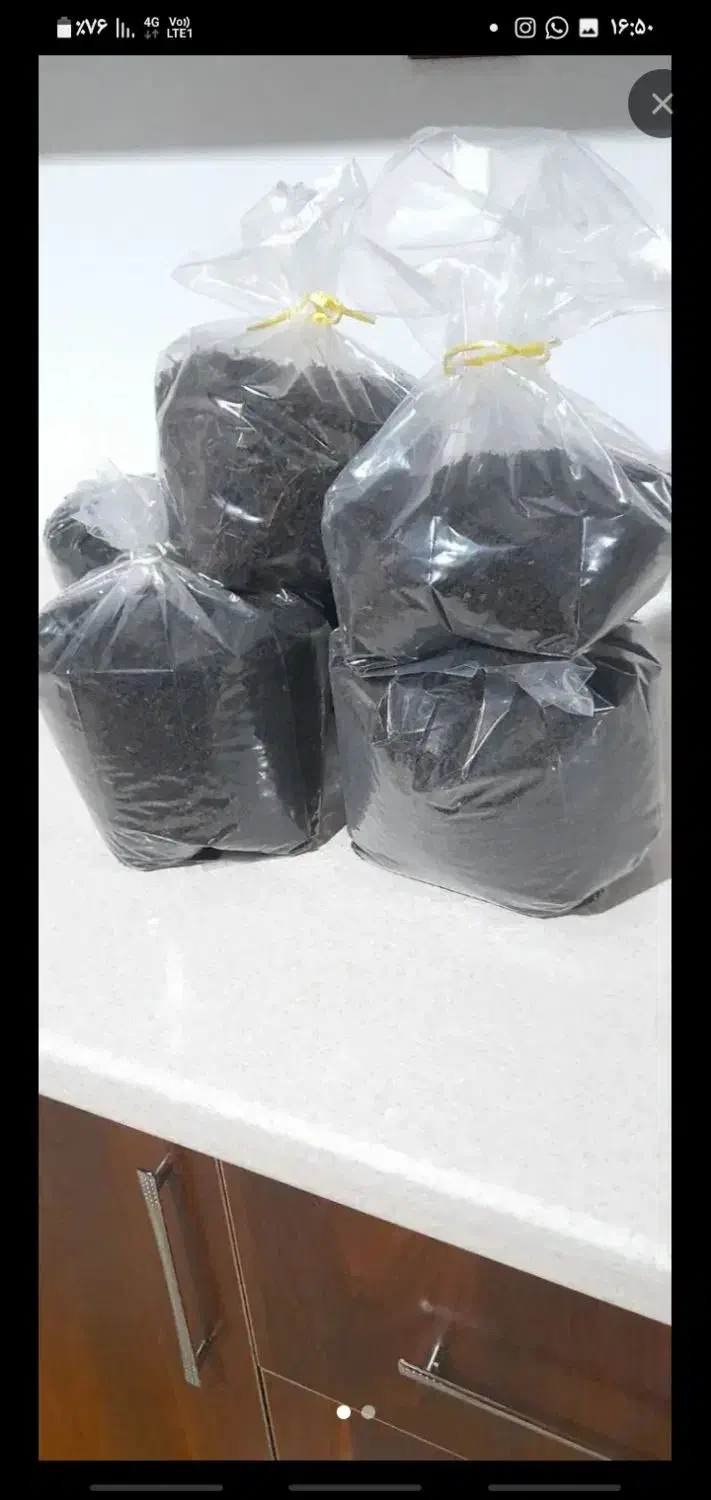 چای بهاره|خوردنی و آشامیدنی|چالوس, |دیوار