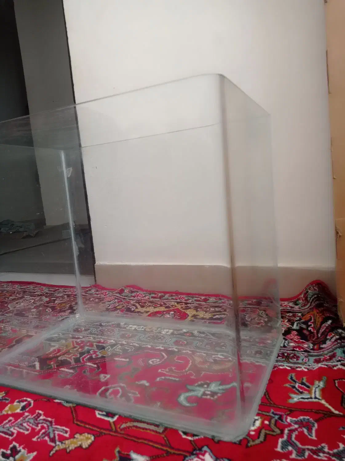 آکواریوم شیشه خم کارخونه ای|ماهی|قائن, |دیوار