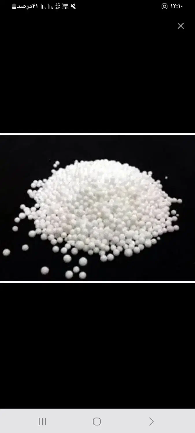 کود سفید|گل و گیاه طبیعی|دزفول, |دیوار