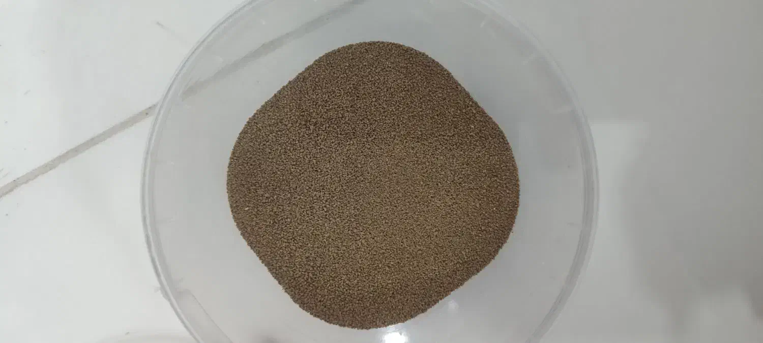 4عدد ماهی گوپی|ماهی|کرمانشاه, |دیوار