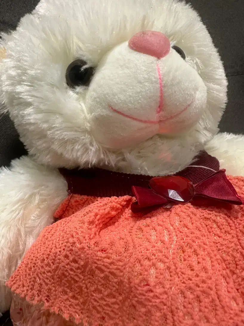 عروسک خرس|اسباب‌بازی بچه|بندر انزلی, انقلاب|دیوار