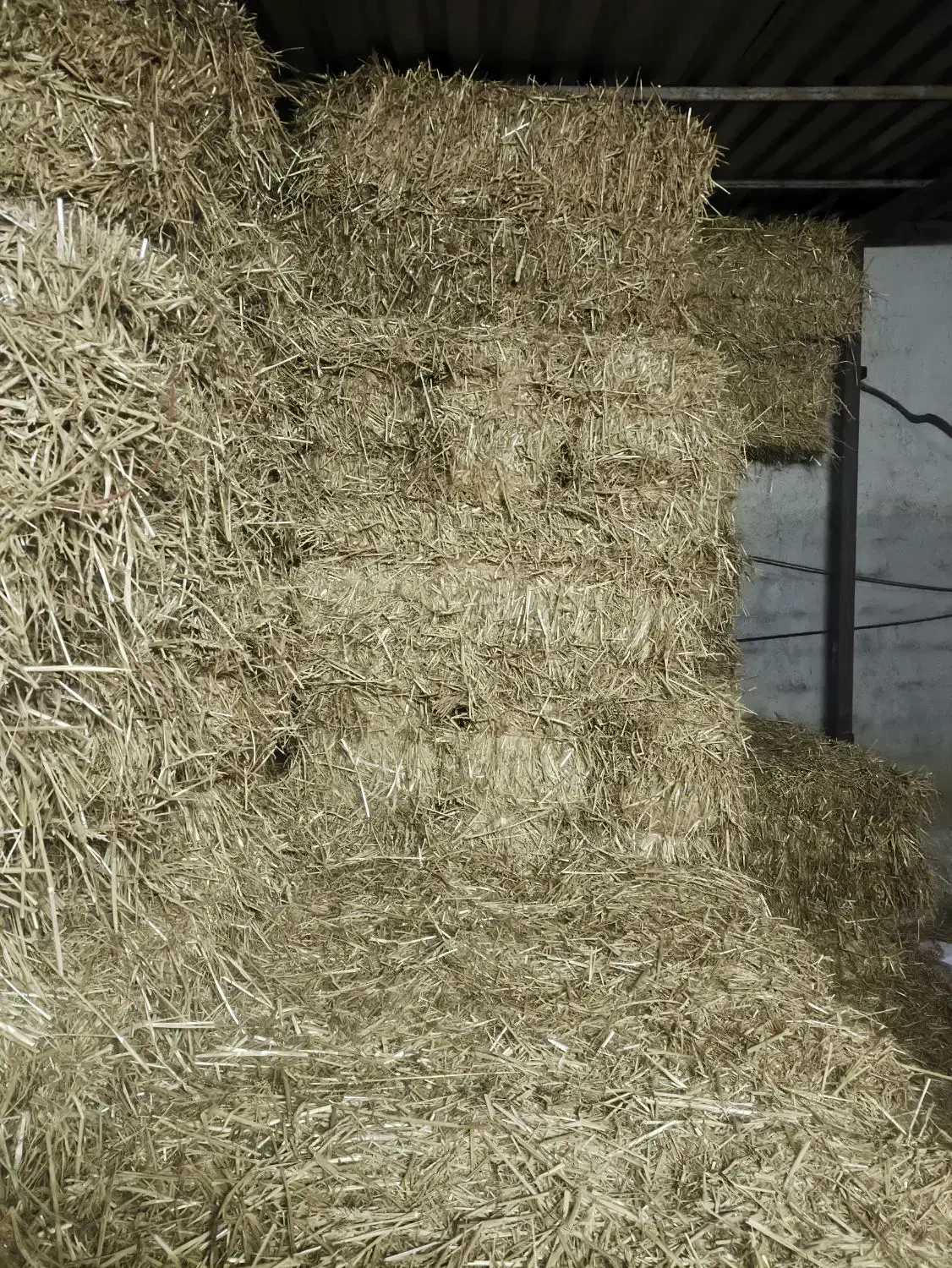 کاه گندم|عمده‌فروشی|کلباد, |دیوار