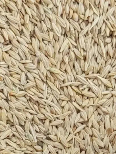 جو ابی|لوازم جانبی حیوانات|تربت جام, امام|دیوار