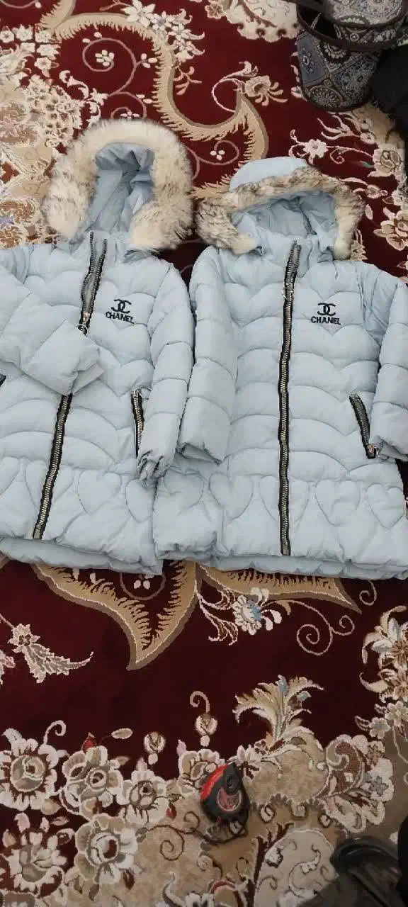 کاپشن|لباس|دلیجان, |دیوار