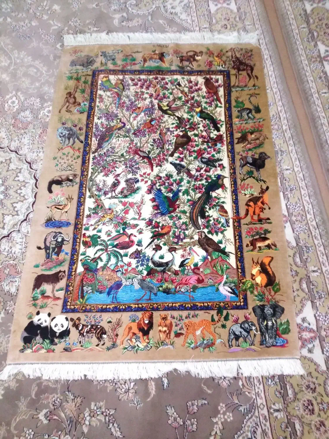 ، قالی تمام ابریشم ذرع و نیم|فرش|قم, نیروگاه|دیوار