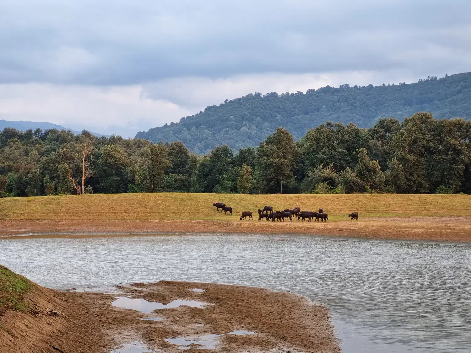 طبیعت گردی|فعالیت داوطلبانه تحقیقاتی|رشت, گلسار|دیوار