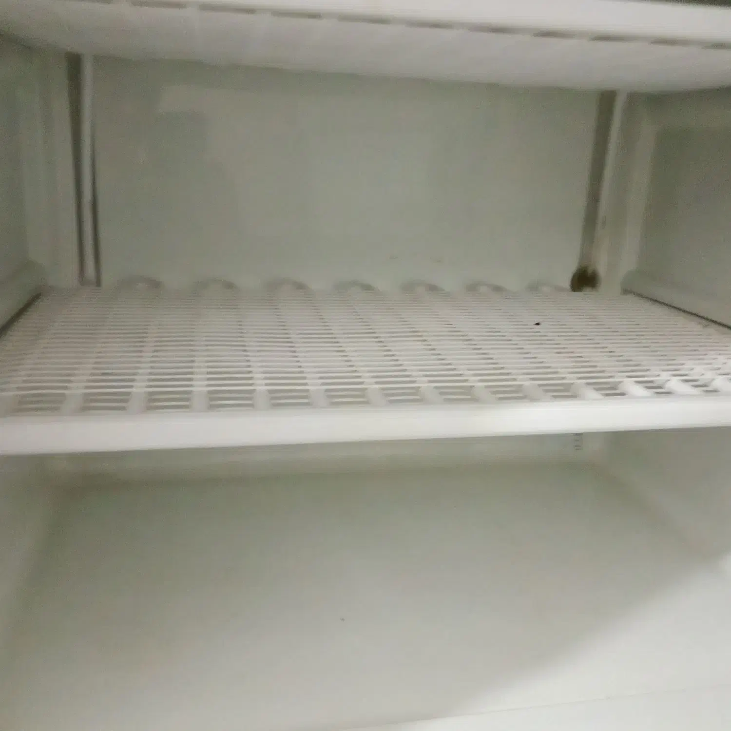 یخچال امرسان|یخچال و فریزر|تاکستان, |دیوار