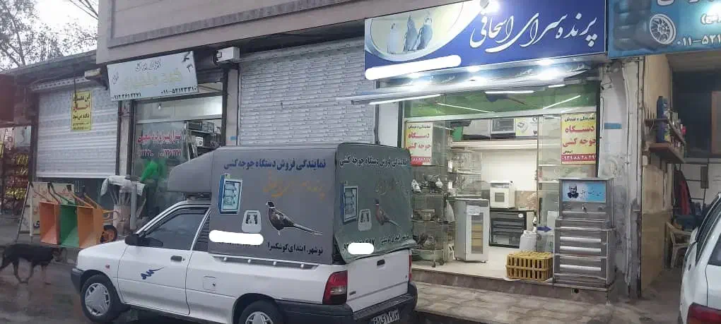 نمایندگی فروش دستگاه جوجه کشی|لوازم جانبی حیوانات|نوشهر, |دیوار