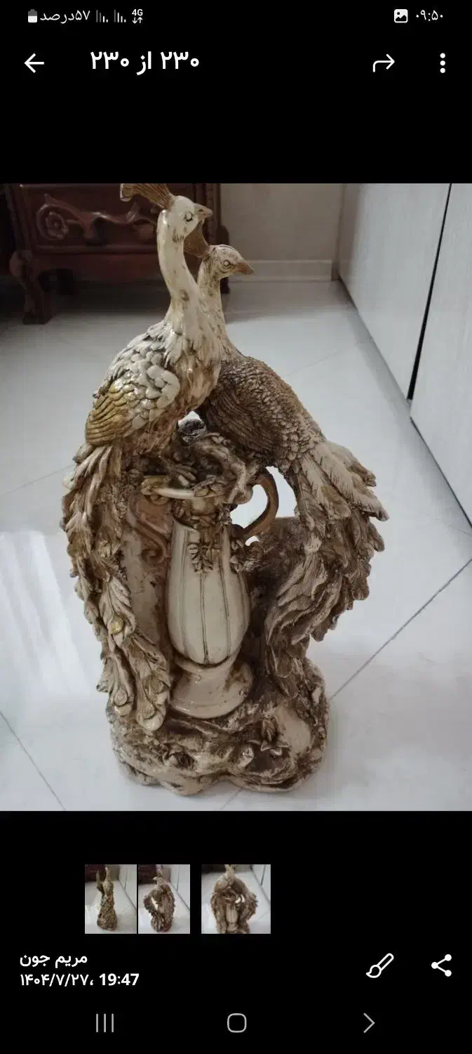 مجسمه طاووس|مجسمه، تندیس، ماکت|مشهد, دانشجو|دیوار