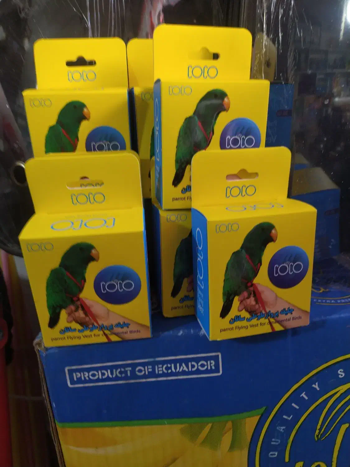 دهکده پرندگان|پرنده|سنقر, |دیوار