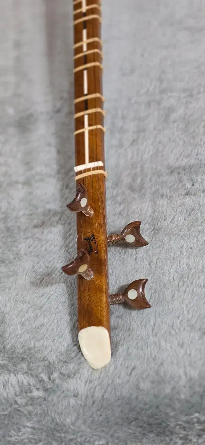 سه تار کاسه کمالیان|سازهای سنتی|لنجان, |دیوار