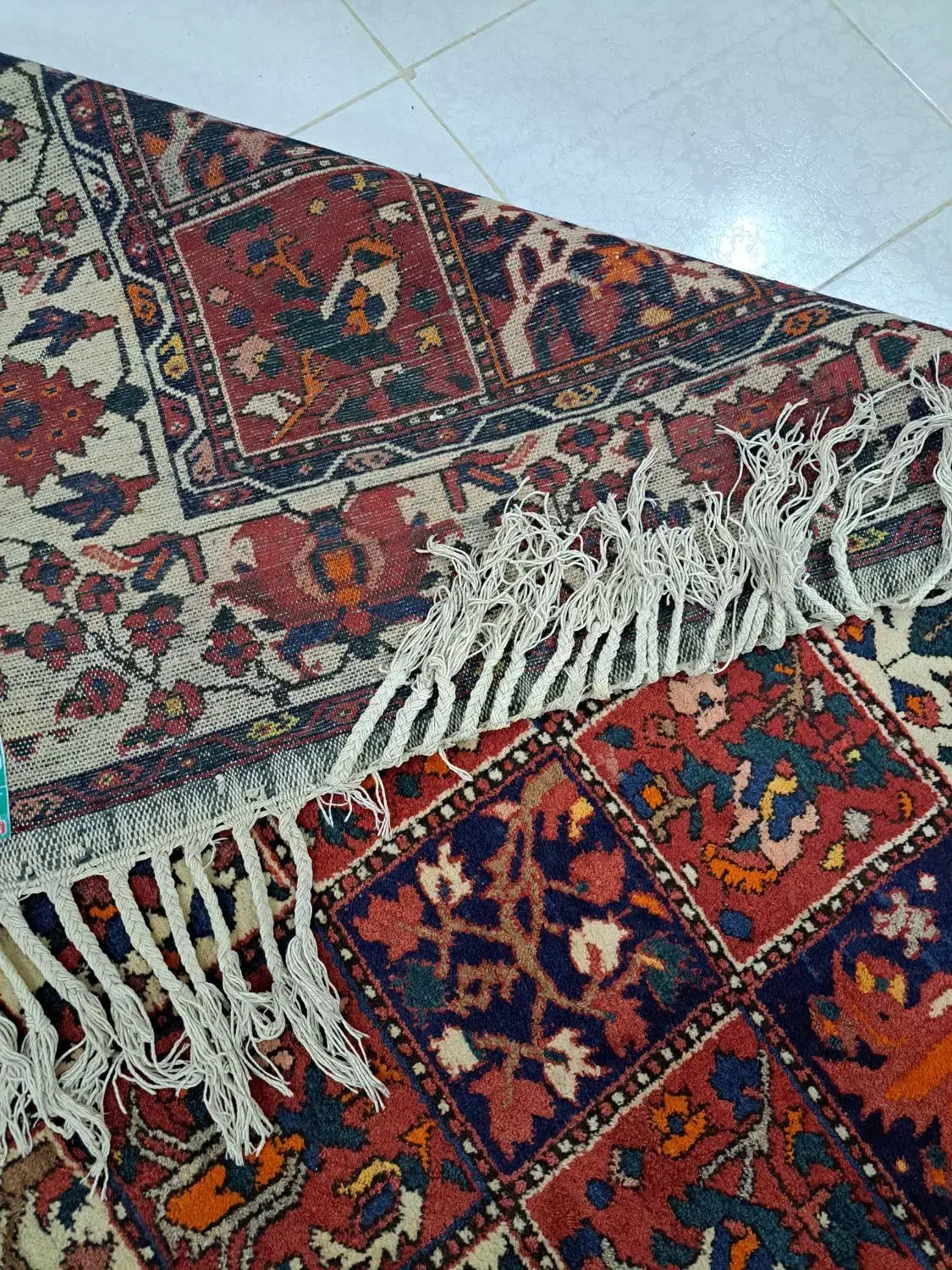 فرش دستبافت|فرش|پیر بکران, |دیوار