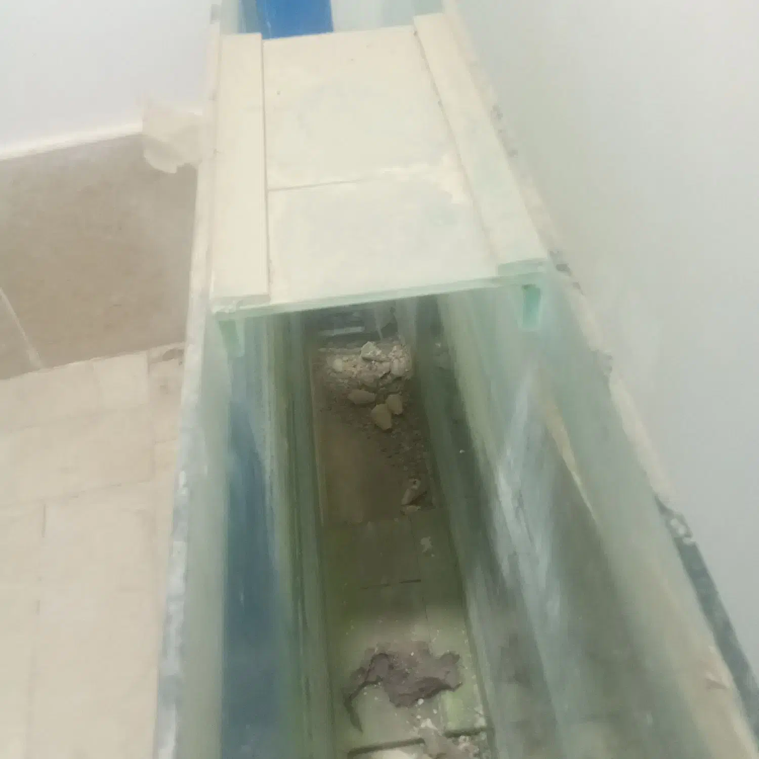 آکواریوم|ماهی|تربت جام, معدآباد|دیوار