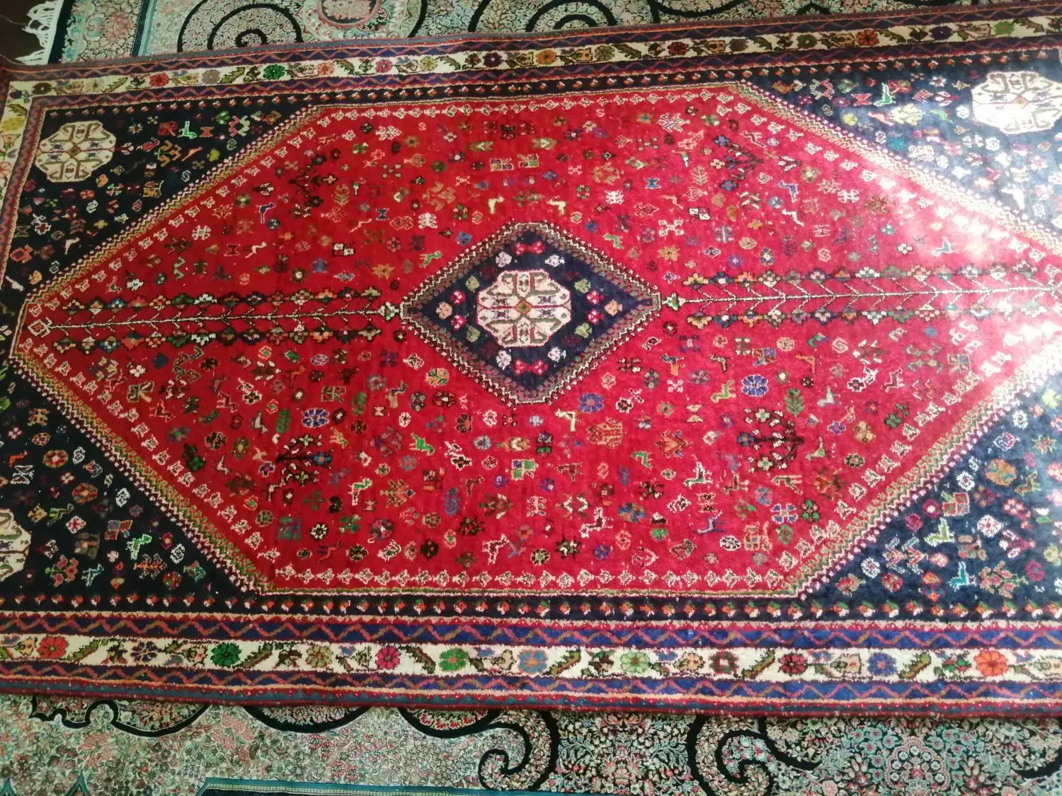 فرش دست بافت|فرش|شیراز, شهرک ولیعصر|دیوار