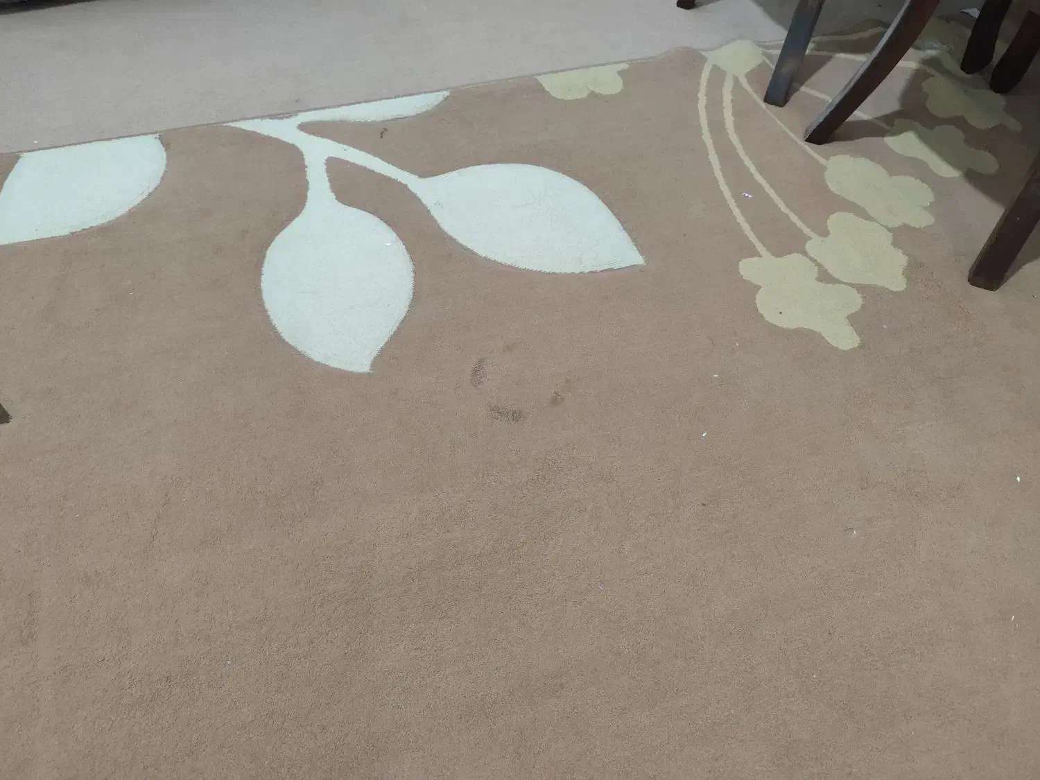 یک جفت گلیم فرش با کیفیت و زیبا ( دست دوم)|گلیم، جاجیم، گبه|کرمان, |دیوار