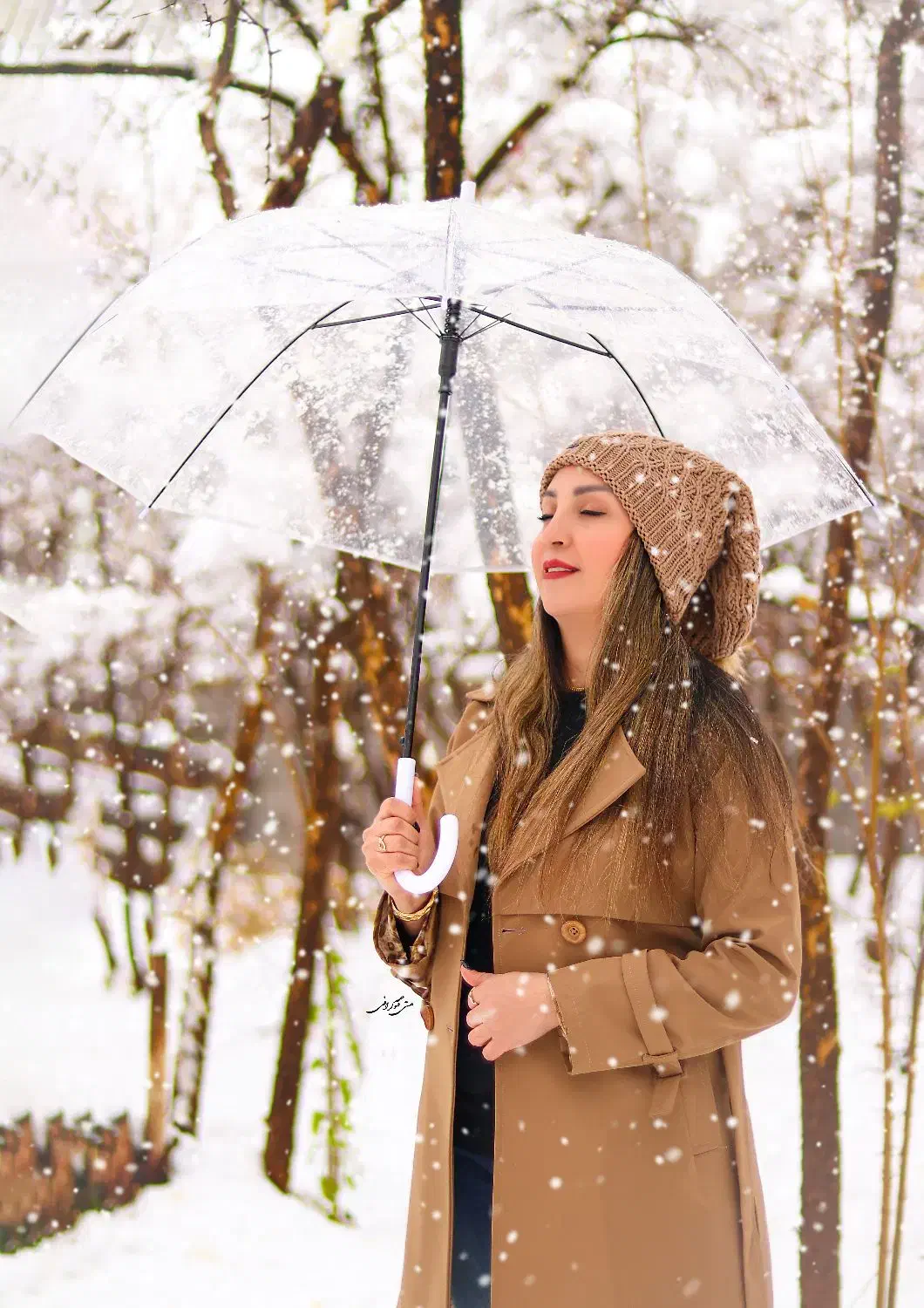 عکاسی . فضای باز .|خدمات پذیرایی، مراسم|یزد, |دیوار