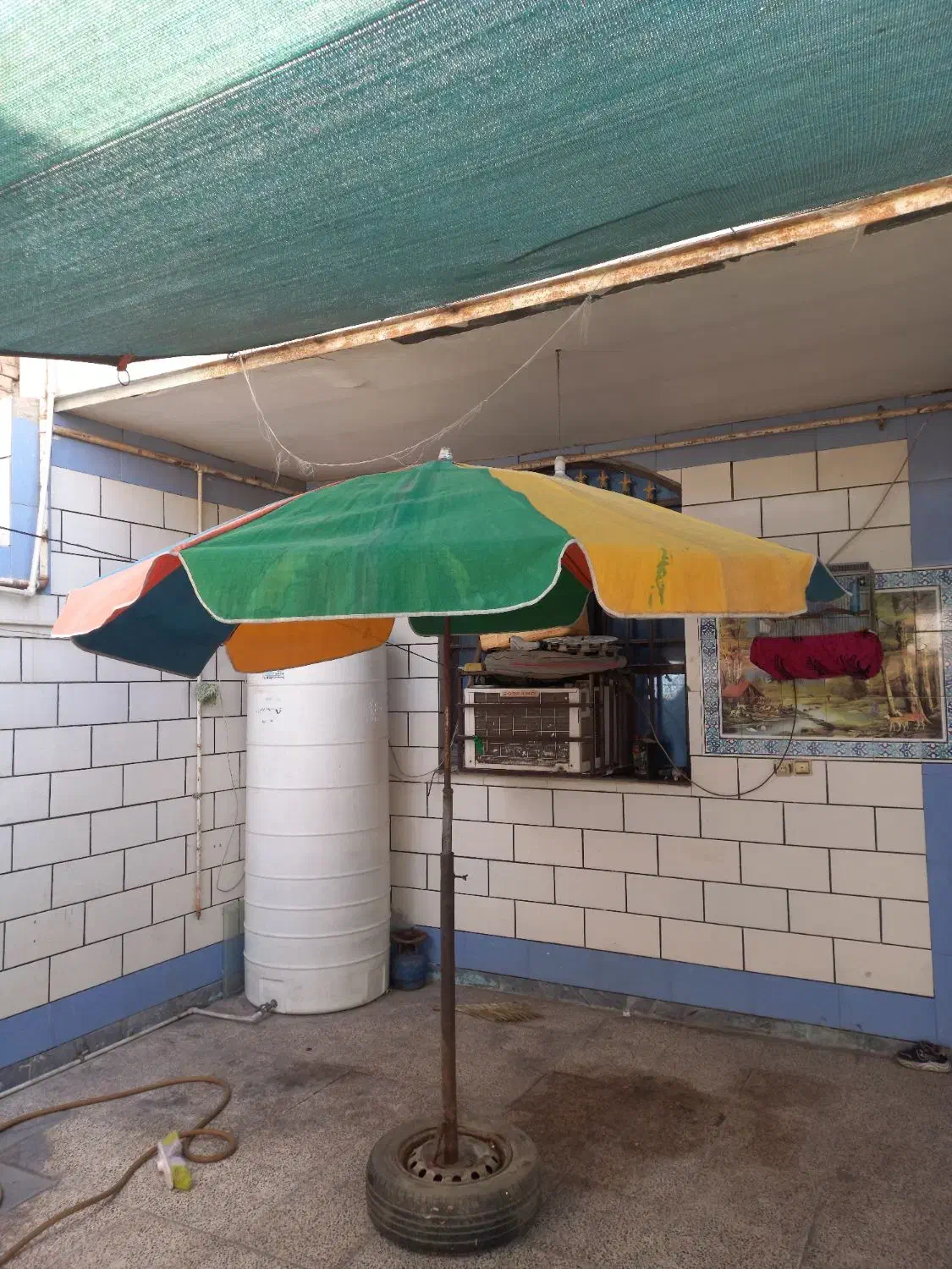 چتر بسطی بزرگ|کوهنوردی و کمپینگ|اهواز, کوی شایسته|دیوار