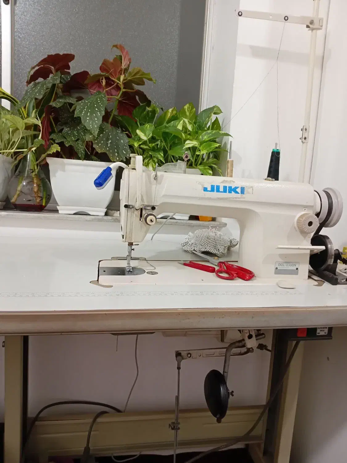 چرخ خیاطی جک فروشی فوری|چرخ خیاطی و ریسندگی|بندر گز, |دیوار