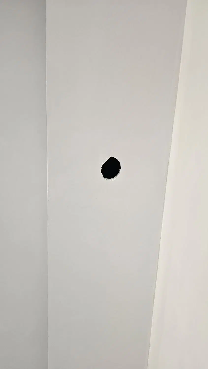 نقاشی ساختمان|خدمات پیشه و مهارت|بروجرد, |دیوار