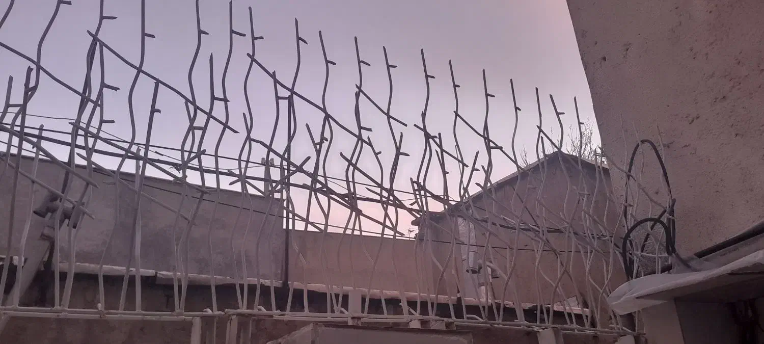 نرده شاخ گوزنی|مصالح و تجهیزات ساختمان|بروجرد, |دیوار