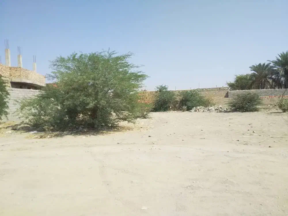 فروش تجاری سجادشهر بلوارنخل|فروش زمین و ملک کلنگی|ایرانشهر, |دیوار