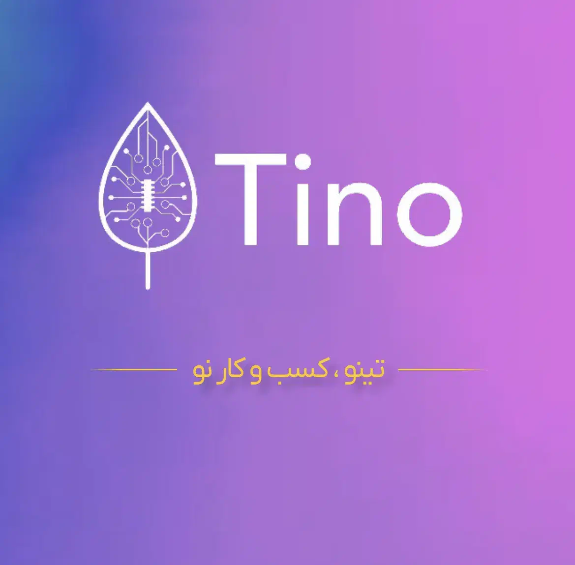 تولید محتوا و مدیریت پیج حرفه ای - تینو|خدمات رایانهای و موبایل|مشهد, دانشجو|دیوار