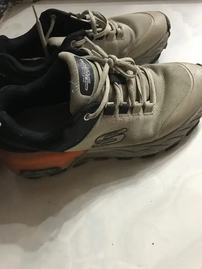 کتونی اسکیچرز|کیف، کفش، کمربند|ماسال, |دیوار