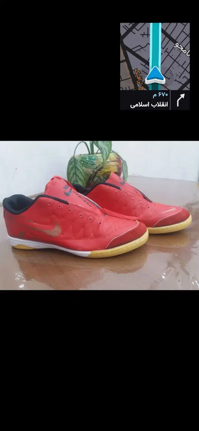 کفش ورزشی سالنی ،و چمنی مردانه و بچگانه|کیف، کفش، کمربند|ایوان, |دیوار