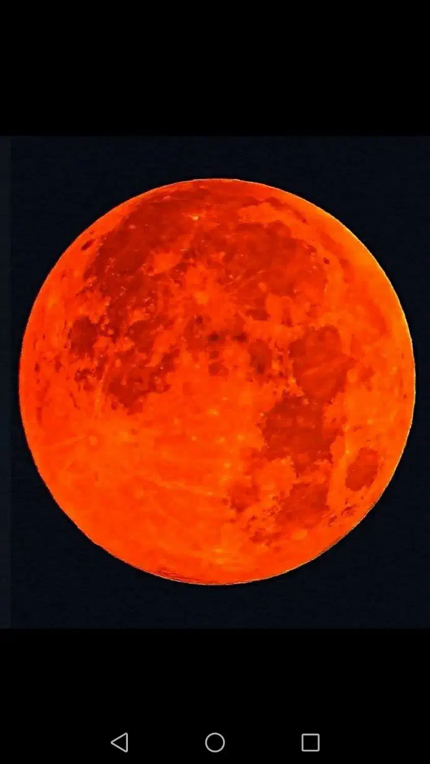 اجاره خودروی پربیت|خدمات حمل و نقل|صدرا-فارس, فاز ۱|دیوار