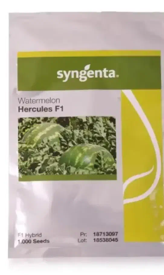 انواع بذر|خدمات باغبانی و درختکاری|شاهین‌شهر, شیخ بهایی|دیوار