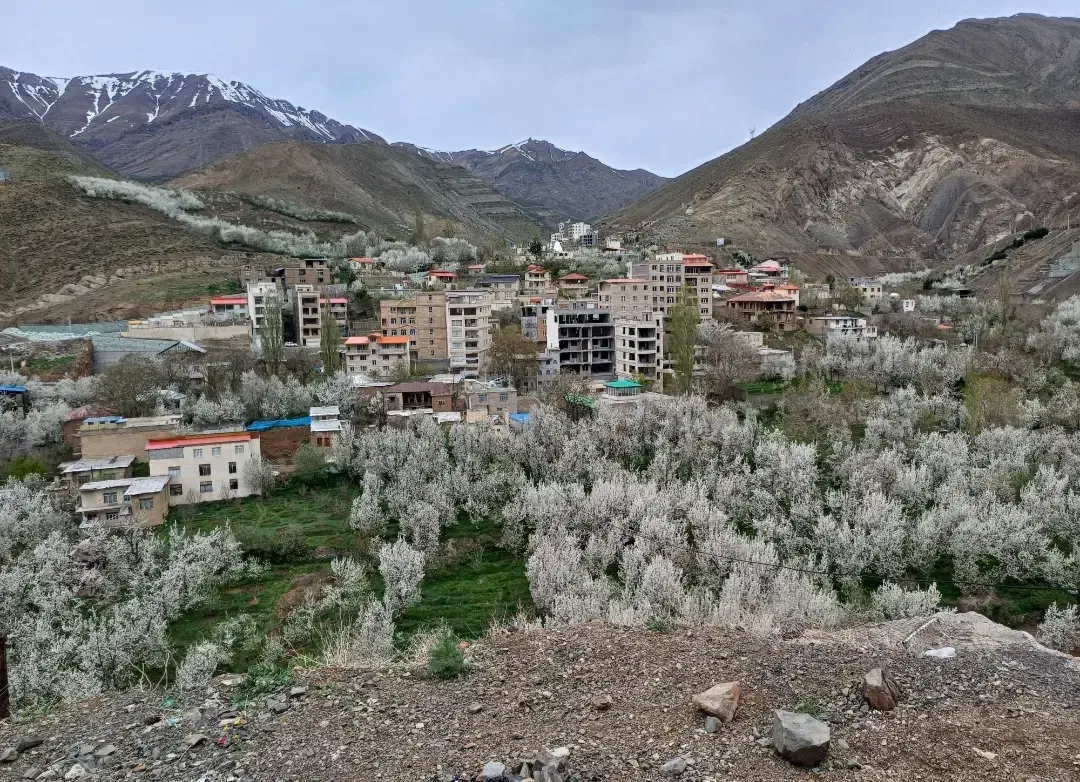 باغچه|فروش زمین و ملک کلنگی|کن, |دیوار